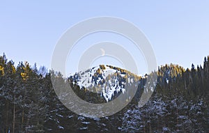 Mountains covered with forest in winter and half moon over the peak