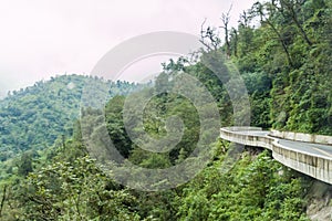 Mountains covered with a lush forest