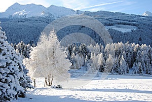 Mountains covered with snow