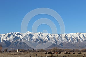 Mountains covered in snow