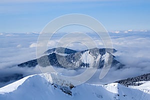 Mountains covered with snow and forest in the middle of the clouds