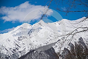 Mountains covered with snow snowcaps landscape