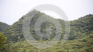Mountains covered by vegetation in the rainforest of the Atlantic Forest