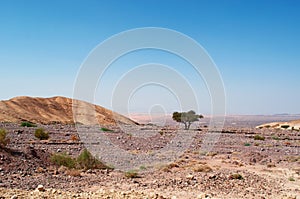 Mountains, desert, landscape, climate change, Dana Biosphere Reserve, Jordan, Middle East