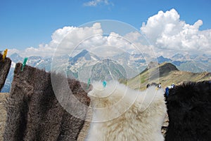 The mountains of Dombai and local trade