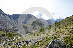 Mountains of the eastern Sayan.