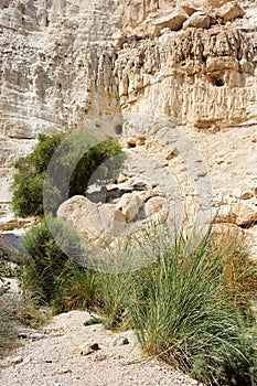 Mountains in the Ein Gedi Nature Reserve