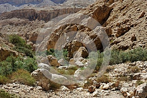 Mountains in the Ein Gedi Nature Reserve