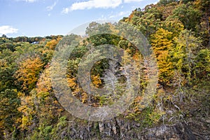 Mountains in the fall