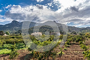 Mountains with a finca on Mallorca