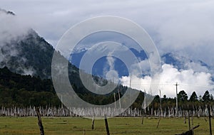 Mountains with flog clouds photo