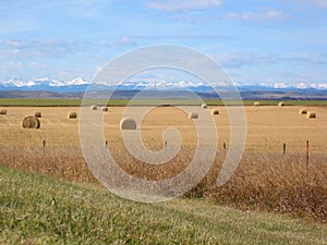 Mountains, Foothills, and Bales