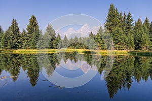 Mountains and Forest in Calm Reflection