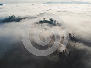 Mountains and forest in clouds