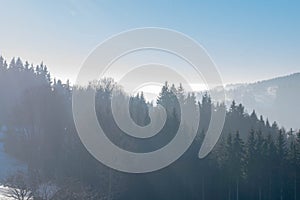 Mountains and forest