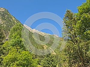 Mountains with  forest and granite tops, France