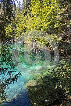 Mountains and forest at Lago di Fusine in Italy.