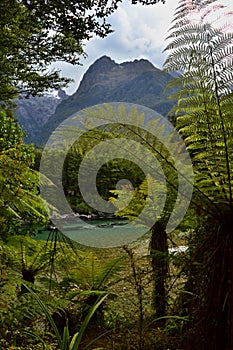 Mountains and forest landscape, New Zealand