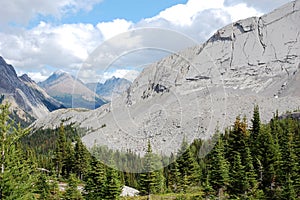 Mountains and forests