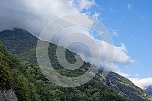 Mountains and forests of Abkhazia