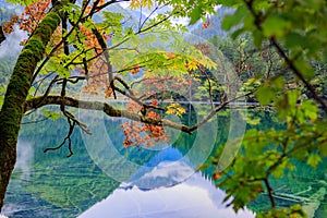 Mountains and forests