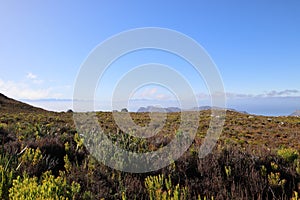 Mountains and fynbos, distant view