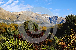 Mountains garden new zealand