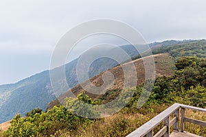 Mountains with golden grass and fog with the wooden observation deck along the way to Kew Mae Pan in Chiang Mai, Thailand