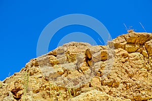 Mountains and gorge Judean desert. Hot, scorching sun and blue sky