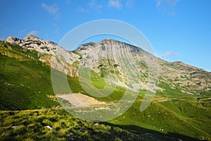 Mountains and grassland - The Durmitor Mountains, Dinaric Alps