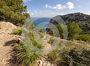 Mountains, green flora and mediterranean sea turquoise water of Alcudia, Mallorca, or Majorca, Balearic Islands, Spain
