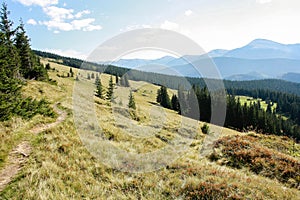 Mountains and green forest picturesque scenery. High peaks. Beautiful landscape