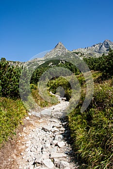 Mountains and green forest picturesque scenery. High rocks. Beautiful landscape