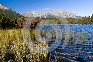 Mountains High Tatras in Slovakia