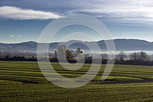 Mountains on the horizon and fog over the field