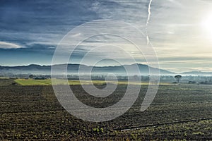 Mountains on the horizon and fog over the field