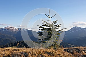 Mountains Hoverla and Petros. Carpathians. Ukraine