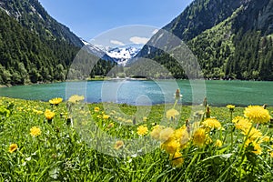 Mountains and lake landscape with flower meadows in early summer.