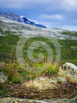 Mountains landscape. Norway route Aurlandsfjellet