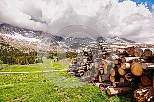 Mountains landscape with pile of logs in the foreground. Plateau