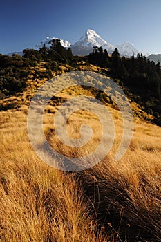 Mountains landscape, Poon hill, Nepal