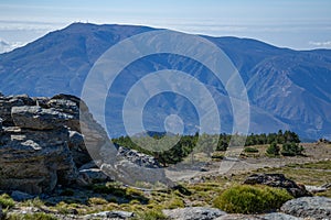 Mountains landscape in Sierra Nevada with a rock and pine forest photo
