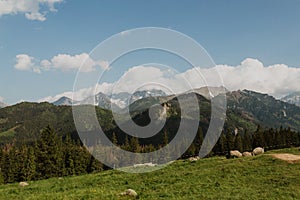 Mountains landscape view. High tatras. Beautiful summer mountains