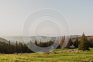 Mountains landscape view. High tatras. Beautiful summer mountains