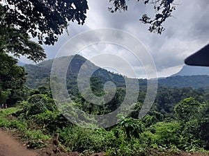 Mountains lush green forest nice weather