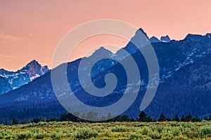 The mountains and luxuriant plants in the setting sun