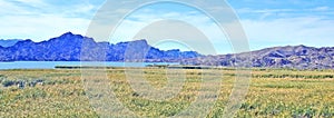 Mountains And Marsh Beside Colorado River