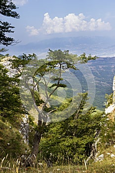 Mountains massif Alburni