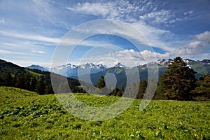 Mountains meadow