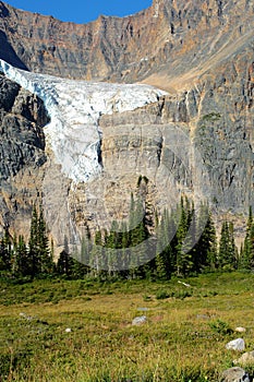 Mountains and meadow